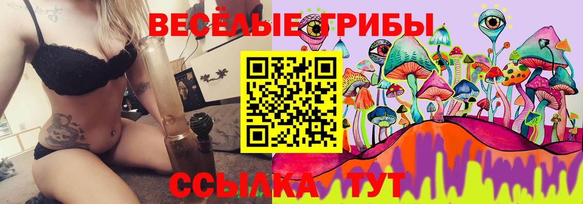 Галлюциногенные грибы прущие грибы Богородск